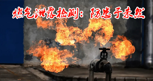 理研GP1000型燃氣泄露檢測的必要性